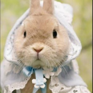 Meet your Posher, Warren